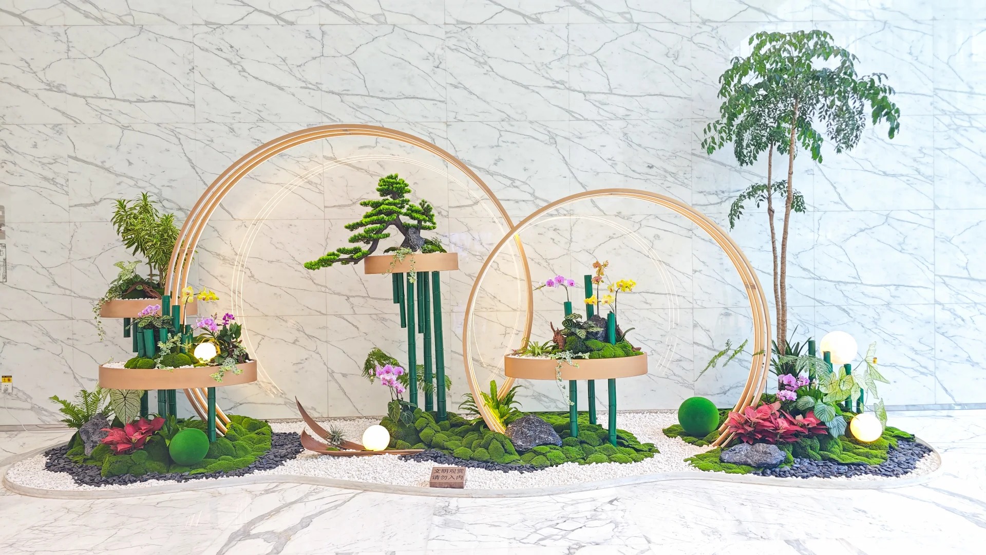体验宁波盆景租摆，给空间带来不一样的绿意！
