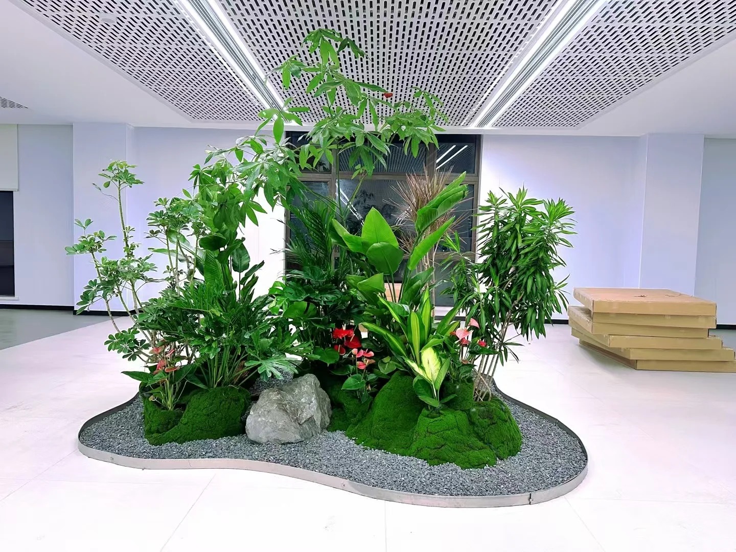 体验宁波盆景租摆，给空间带来不一样的绿意！